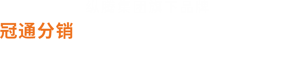 zongteng.com.cn